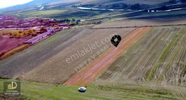 Detay Emlak'tan Ergili'de 3.100 M2 Satılık Köye Yakın Tarla