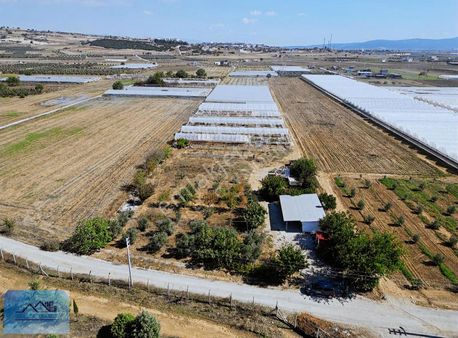 Menderes Tekeli De Tek Tapu 15 Dönüm Satılık Tarla