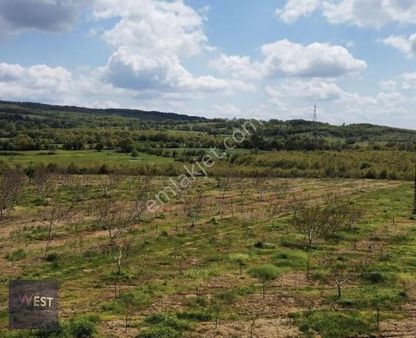 Lapseki Harmancık İçinde Bağ Evi Olan Satılık Tarla