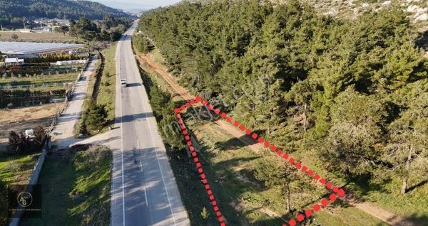 Çamönünde Ana Cadde Üstü Satılık 1400 M2 Tek Tapu Tarla