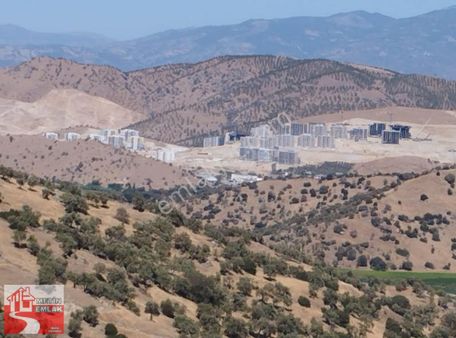 Metin Emlak'tan Bedirlerde Toki Manzaralı Zeytinlik