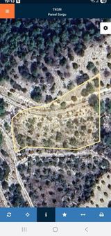 Denizli Güney İlcesi Ertugrul Mh Sinde 2900 Mk Satılık Zeytinlik