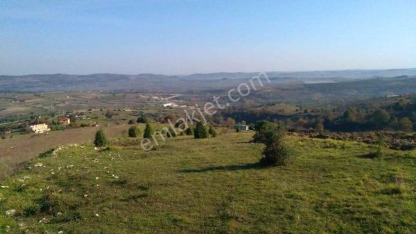 Kandıra'da Resmi Yola Ve İmara 15 M-köye 250 M. Yatırım Fırsatı