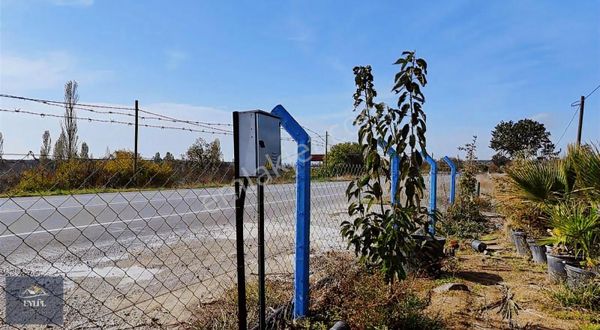 Ezine Gökçebayırda Geyikli Ana Asfalt Üzeri Satılık Bahçe