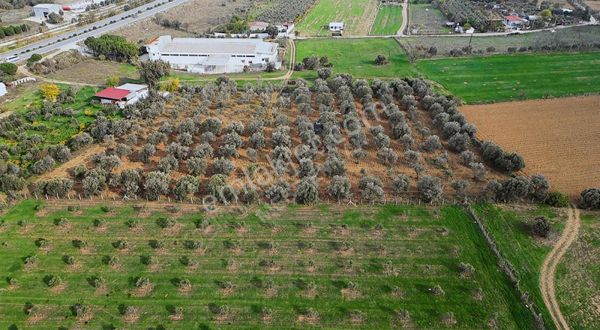 Menderes Gölcükler Mahallesi Satılık İmar İçi Tarla