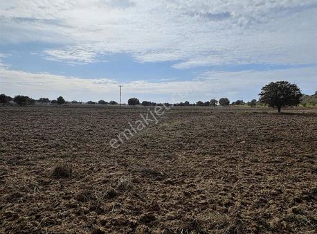 Çanakkale Ezine Kumburun 7.864 M2 Arazi