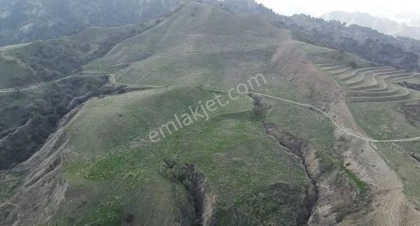 Alaşehir Göbekli Mah.satılık 38 Dönüm Tarla