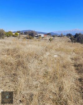 Turanlar Gruptan Yayla Patlangıçta Satılık Tarla