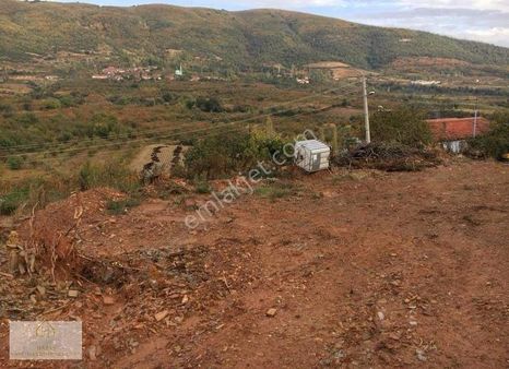 Hataş Gayrimenkul'den Manisa Turgutlu Kabaçınar'da Satılık Arsa