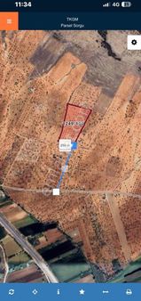 Oğuzeli Merkezde Tam Parça Zeytinlik