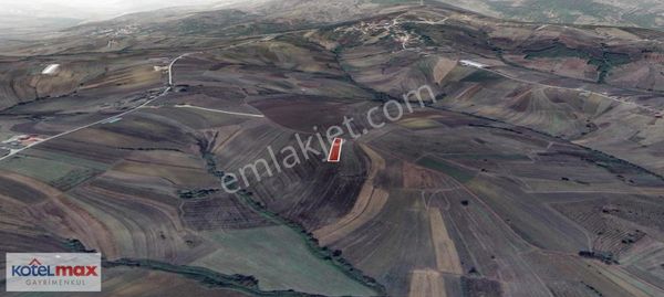 Kandıra Karadivan Satılık Tarla 56000 Metre Kare