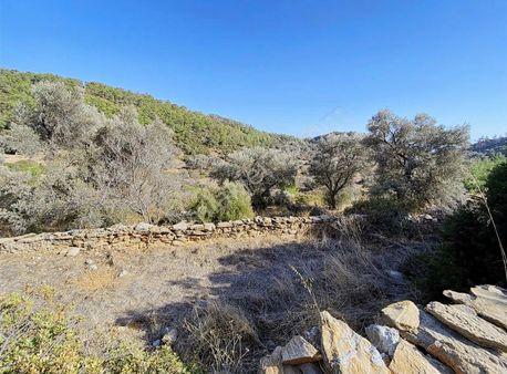 Bodrum Yalıçiftlik'te Müstakil 1350 M² Deniz Manzaralı Tarla