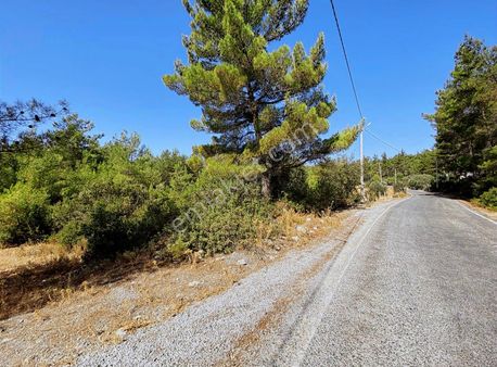 Bodrum Mazı'da Satılık Anayola Cepheli 640 M2 Tarla
