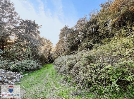 Kandıra Özbey Köyünde Satılık Yatırımlık Arazi