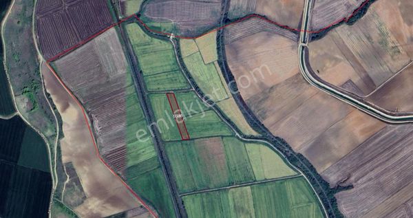 Alemdar'dan Uzunköprü Hamit'li Köyünde Satılık Çeltik Tarlası