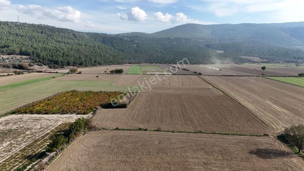 Muğla Menteşe Yeşilyurt Mah. Satılık 3.175 M2 Tarla