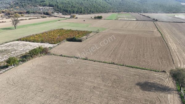 Muğla Menteşe Yeşilyurt Mah. Satılık 2.920 M2 Tarla