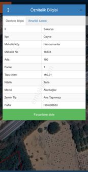 Anayola Cephe Fırsat