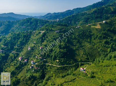 Giresun'da Denize 16 Km 701 M² Müstakil Tapulu İmarlı Parsel!