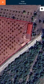 Bilecikte Kaçırılmayacak Fırsat