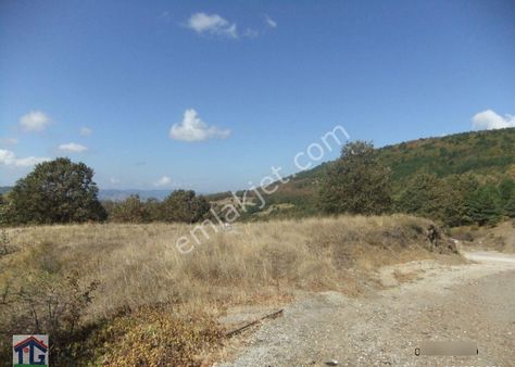 İznik/osmaniye Köyünde Satılık 3487m2 Ve 8067m2 Tarlalar.