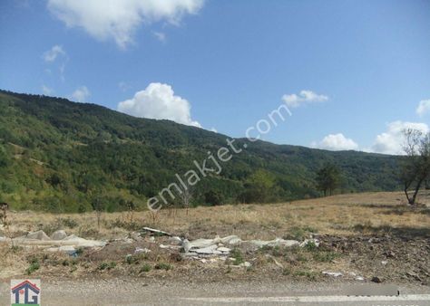 İznik/osmaniye Köyünde Satılık 17031m2, 440m2 Ve 4143m2 Köy İçi İmarlı Tarlalar.