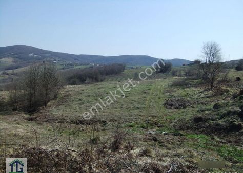 Tezcan Gayrimenkul'den İzmit/kısalar Köyünde Muhteşem Konumlu Tarla