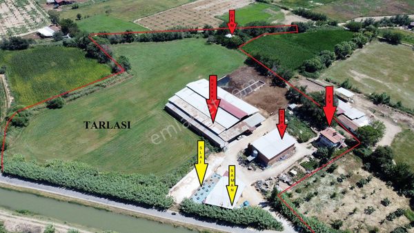 🛑 Sağımlık Veya Besilik Hayvancılık Yapmak İsteyenler İçin Kaçırılmaz Fırsat!