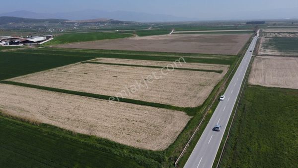 Foça Gerenköyde Foça Yolu Üzerinde 800 M2 Bağımsız Tapulu Tarla