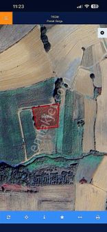 Net'den Kandıra Seyitaliler De 1,732 M2 Müstakil Tapulu Tarla