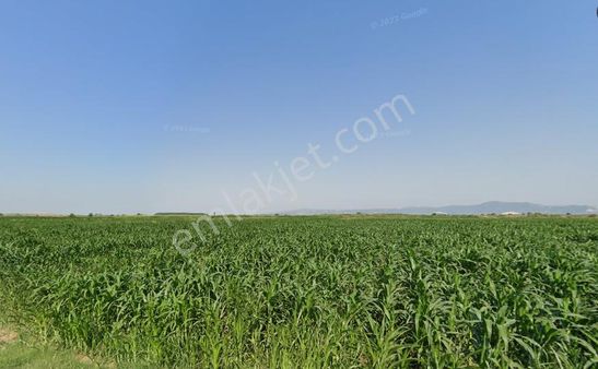 Bursa M.kemalpaşa Ovazaatlıda Yola Cephe 1.901 M² Satılık Tarla
