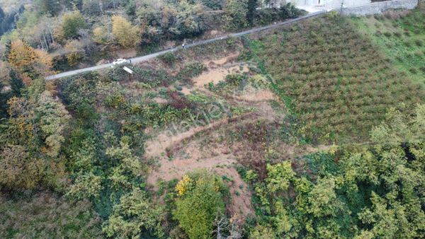 Trabzon'da Satılık Arazi