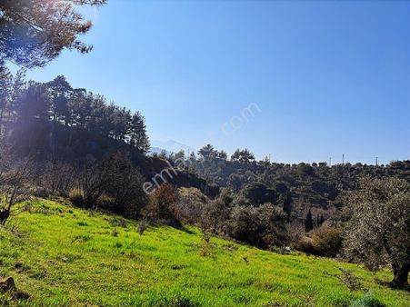 Kemalpaşa Ören Huzur Vadisi Yanında Satılık Tarla