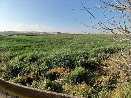 Binax Bakırçay Gayrimenkulden Satılık Tek Tapu Bağ