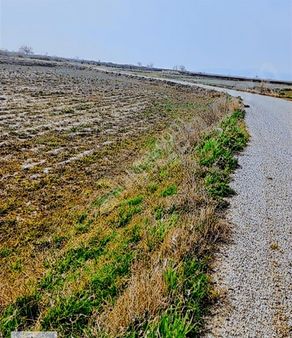 Binax Bakırçay Gayrimenkulden Satılık Tarla