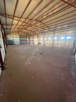 Seyrek Te Tam 1000 Metrekare Yeni Depo.