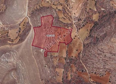 Satılık Tek Tapulu Baden Ve Üzüm Bağı