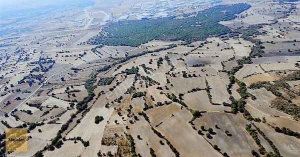 Mayadan Yündalan'da 8.772m2 Satılık Bağ