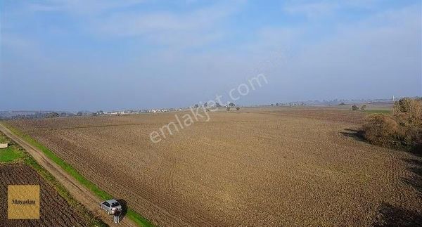 Maya Gayrimenkul Den Kalfaköy Mah Satılık Tarla