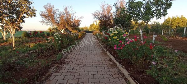 Hakev'den Adıyaman Merkez Büyükkavaklı Satılık Bağ Evi