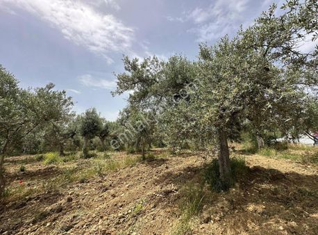 İmar Genişlemesine Açık Bölgede Yatırımlık Tarla