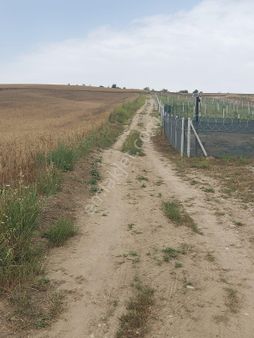 Adana Karaisalı Kuzgun Doğayla İç İçe 1255 M2 Hobi Bahçesi İçme Suyu Var Video Bak