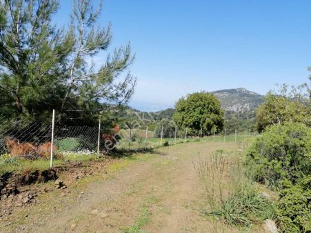 Muğla Ortaca Gökbelde 3200 M2 Hisseli Arazi Satılık