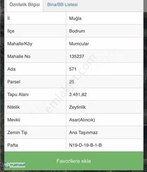 Bodrum Mumcularda Zeytinlik