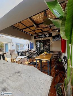 D-marin Turgutreiste Devren Kiralık Bar Hazır İşletme Fırsatı