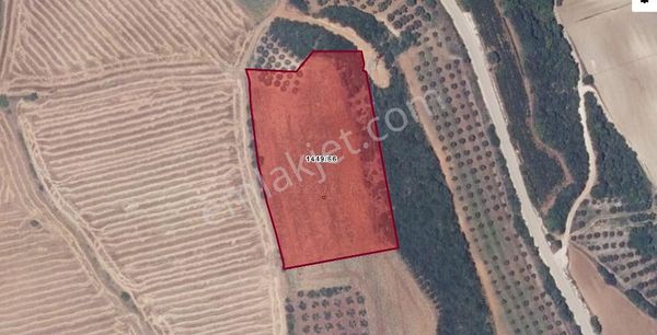 Bursa Karacabey Keşlik Mh.de 11.420m2 Satılık Tarla