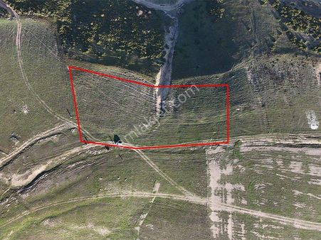 C21 Cius;şahinyurdunda 4.837 M2 Ulaşımı Kolay Satılık Tarla