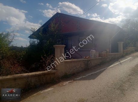 Kastamonu Merkez Saraycıkta Bahçeli Köy Evi Ve Tarlalar