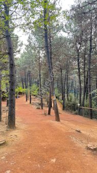 Niğde Merkezde İçerisinde 2 Katlı Evli 790m2 Açık Alan Lı Satılık