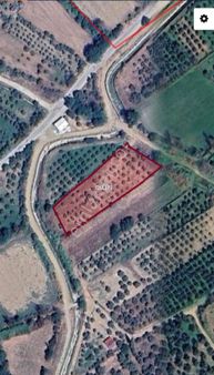 🌿 Aydın / Nazilli – Yazırlı Mahallesi Kırcaklı Mevkisinde Satılık 3 Dönüm Arazi 🌿